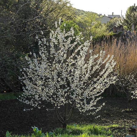 Rio Farneto B&B Longera Buitenkant foto